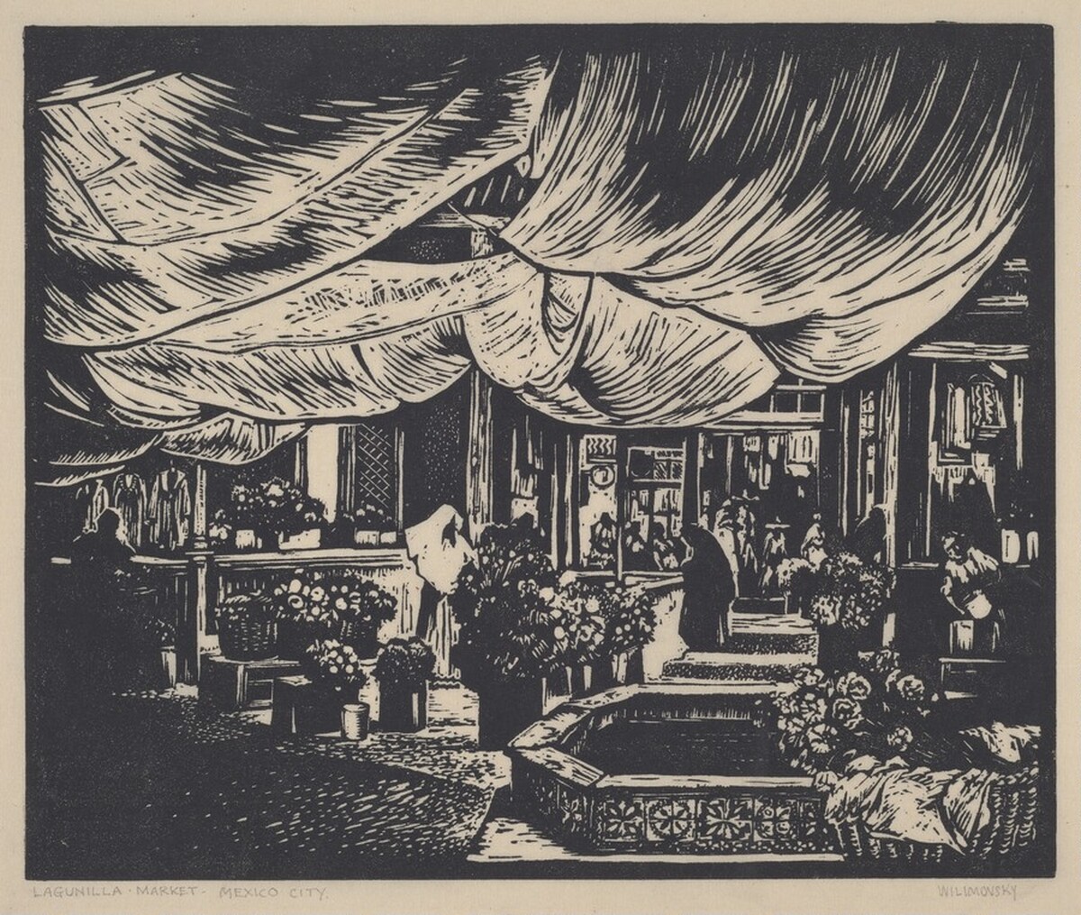 Lagunilla Market, Mexico City by Charles A. Wilimovsky