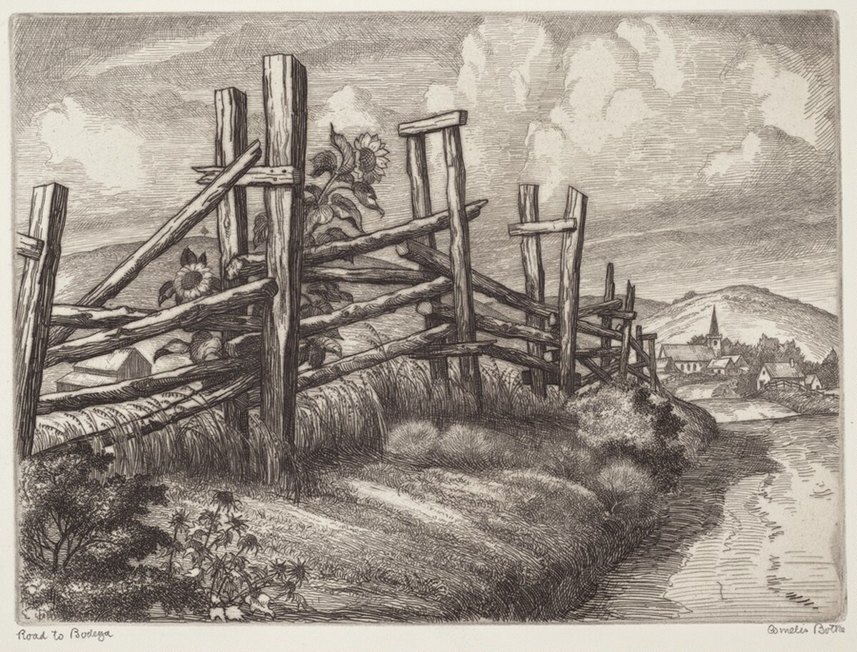 Road to Bodega by Cornelis Botke