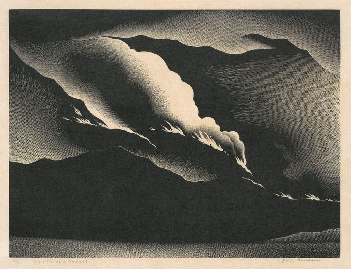 Death of a Forest by Paul Landacre