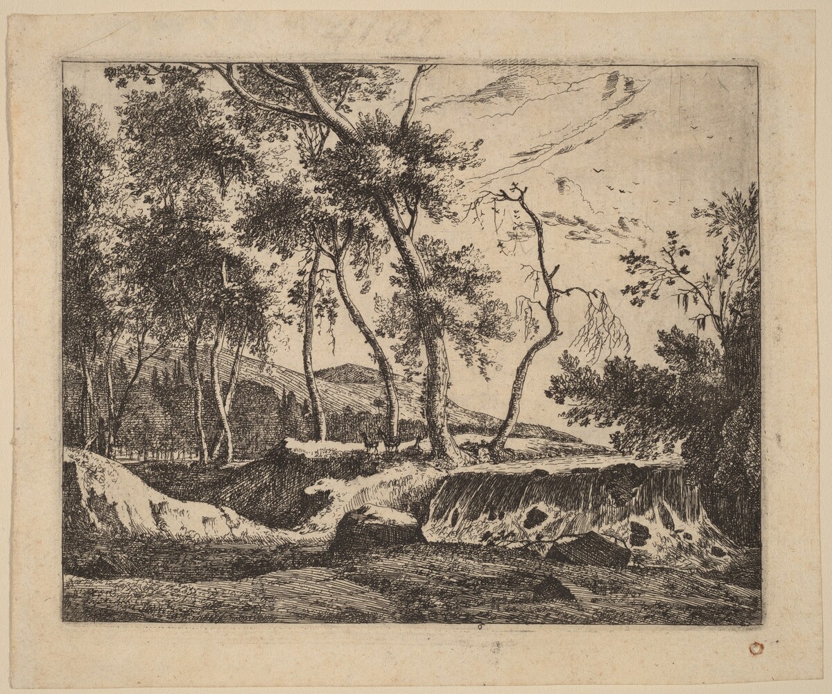 The Waterfall: pl.6 by Roelant Roghman and Melchior Küsel