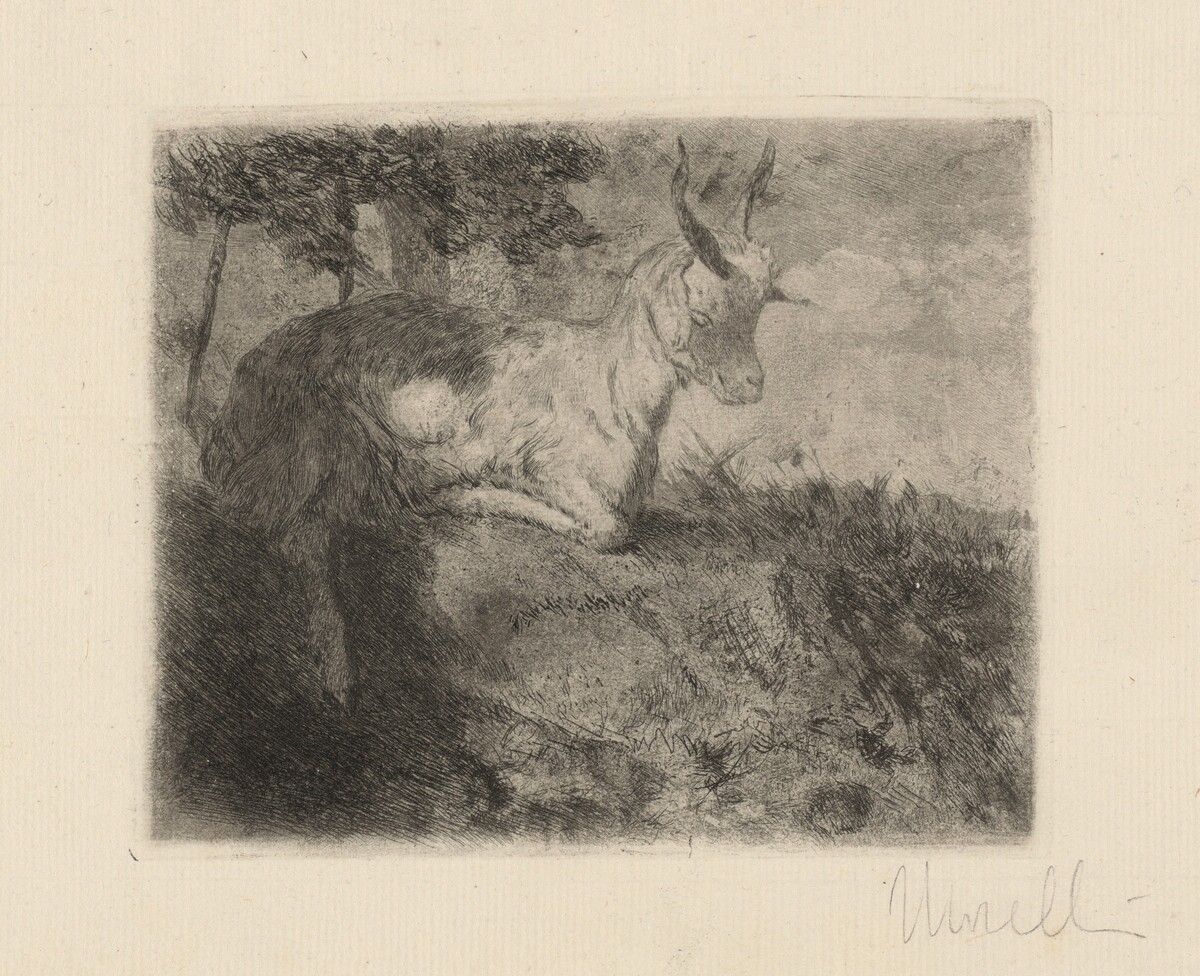The Little Goat (La capretta) by Domenico Morelli