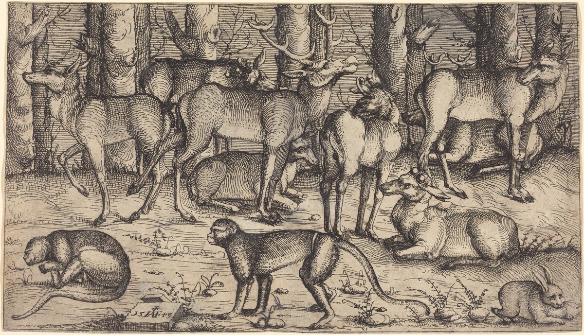 Stags in the Forest by Augustin Hirschvogel