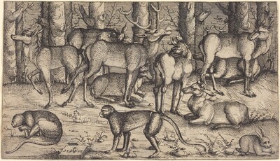 Stags in the Forest