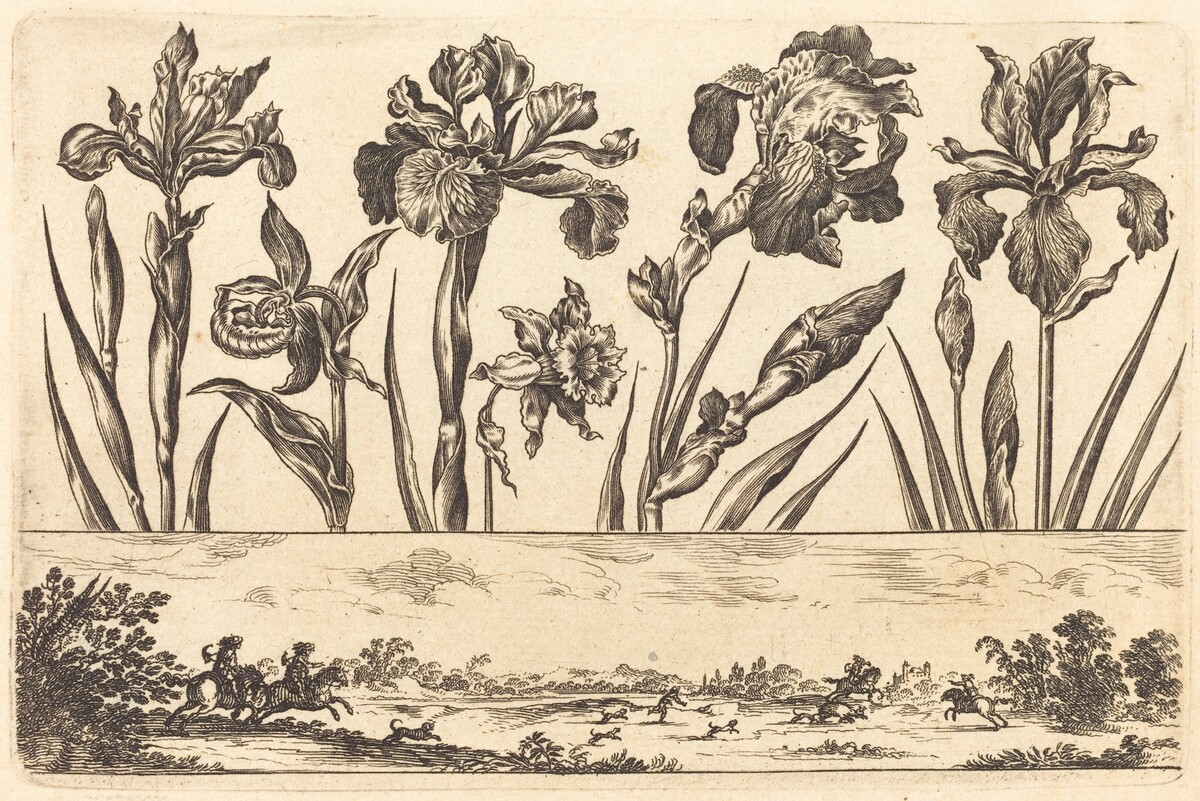 Flower Print no.3 by Nicolas Cochin after Balthasar Moncornet