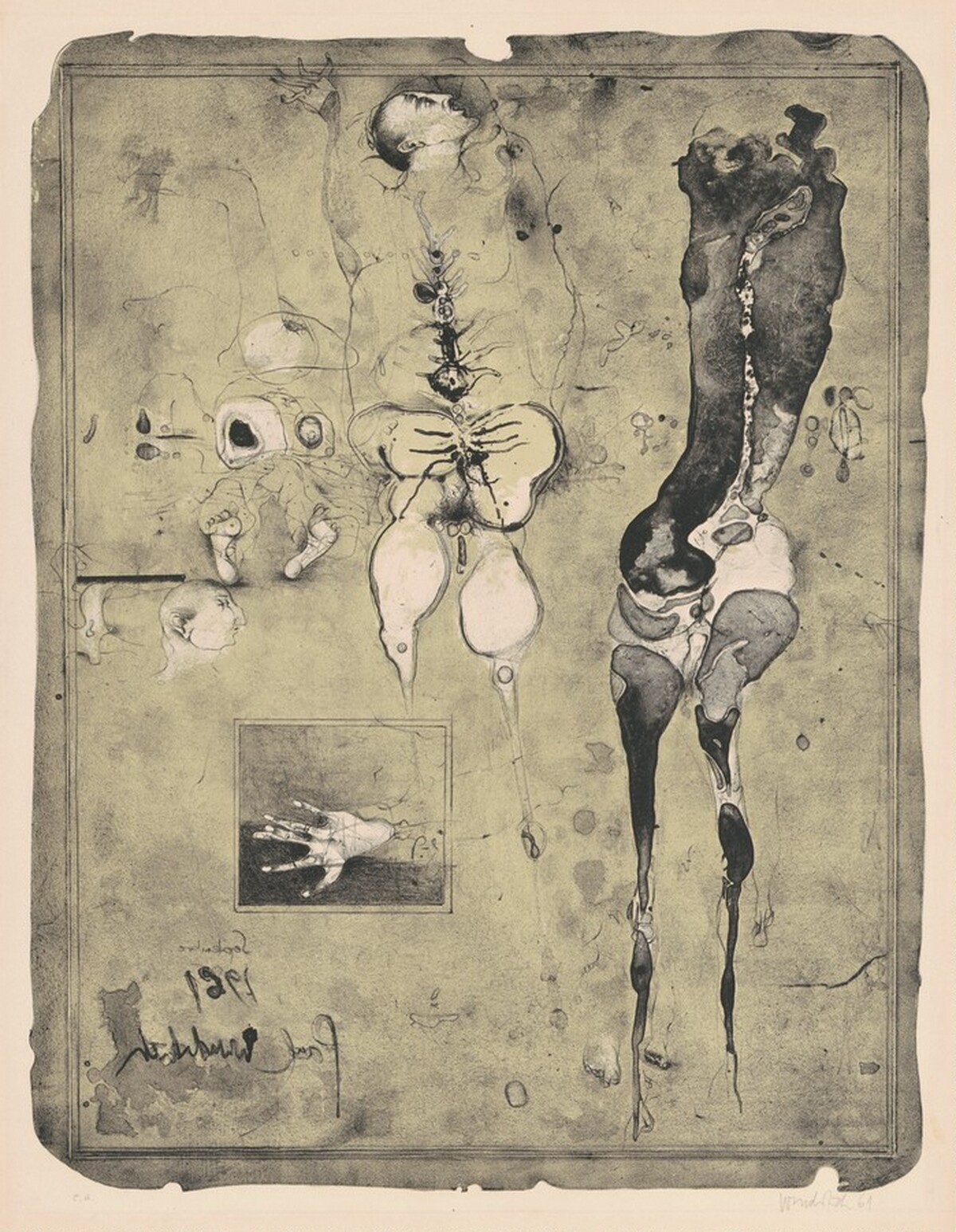 Anatomie 61 (Anatomy 61) by Paul Wunderlich