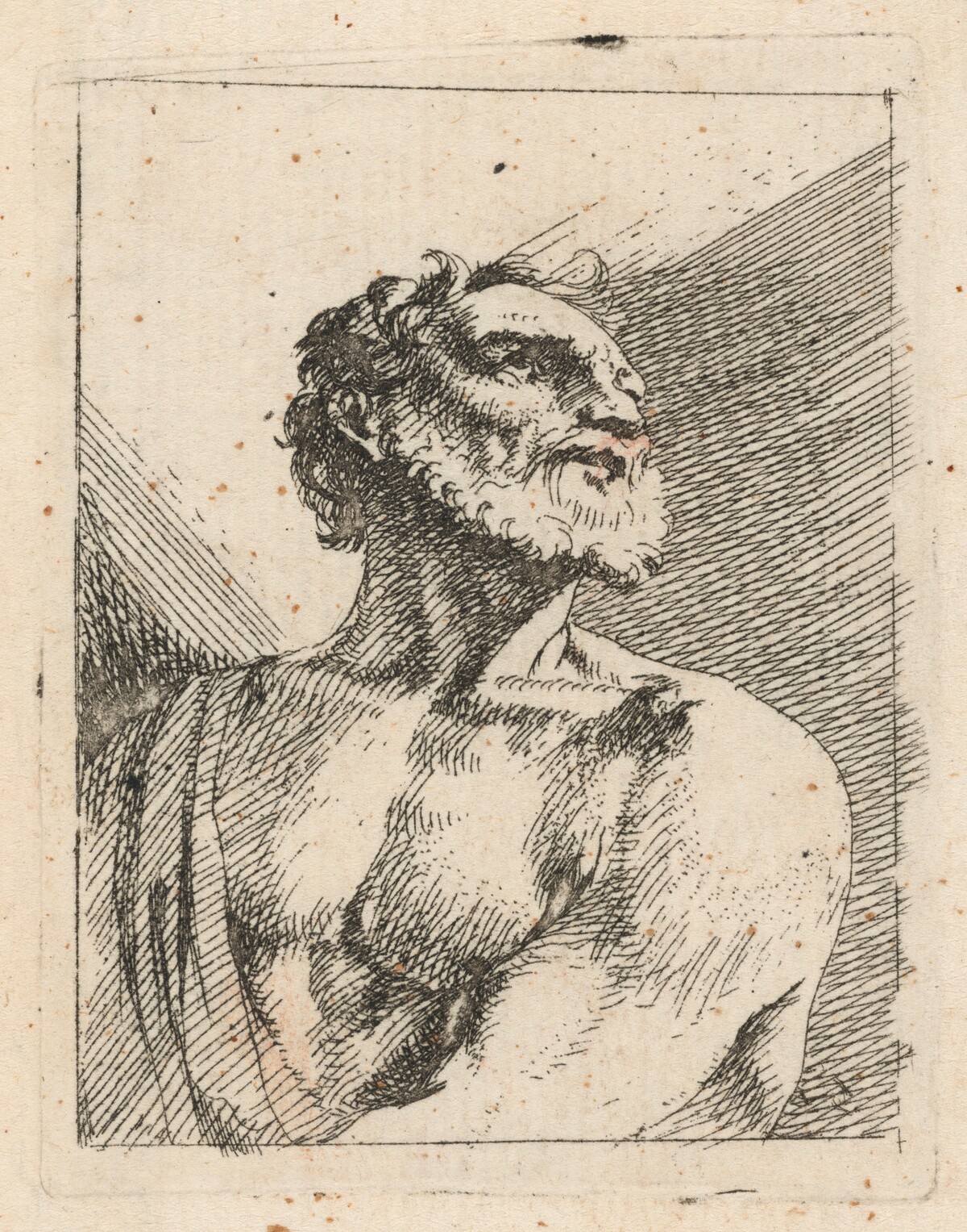 Bust of a Bearded Man by Johann Heinrich Schönfeld