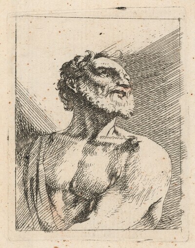 Bust of a Bearded Man