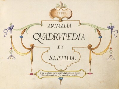 Title Page