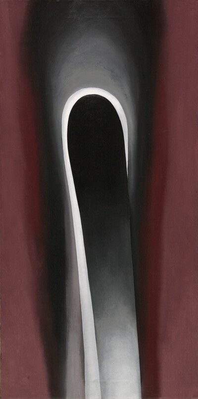 Jack-in-the-Pulpit No. VI