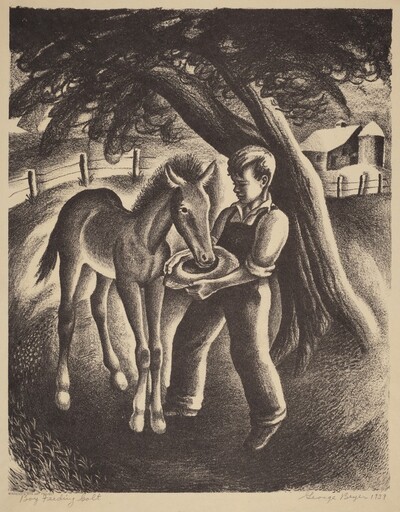 Boy Feeding Colt