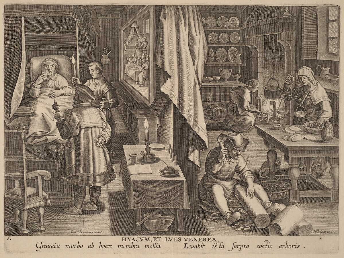 Hyacum, et Lues Venerea (Guaiacum and Venereal Infection) by Workshop of Philip Galle after Jan van der Straet