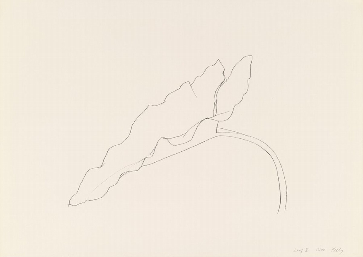 Leaf X by Ellsworth Kelly