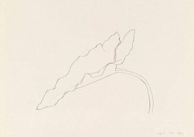 Leaf X