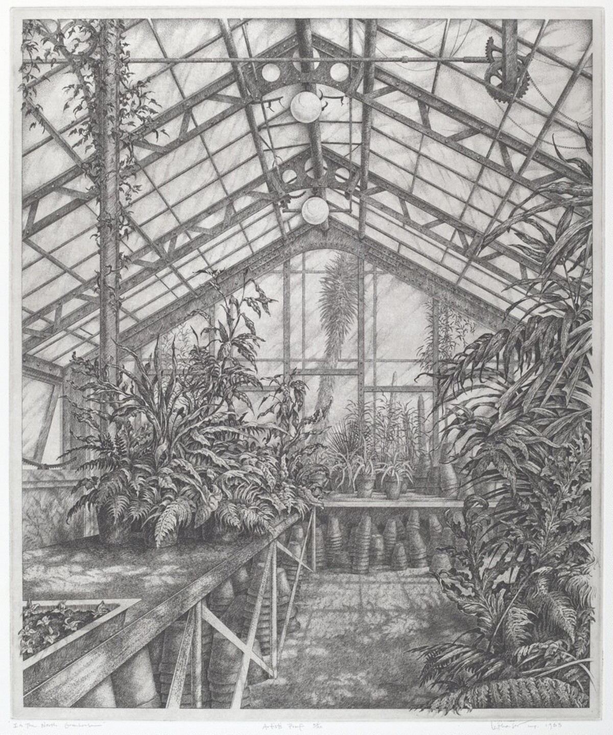 In the North Greenhouse by Mark Leithauser
