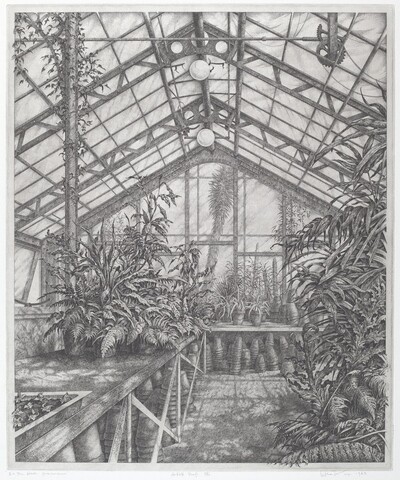 In the North Greenhouse
