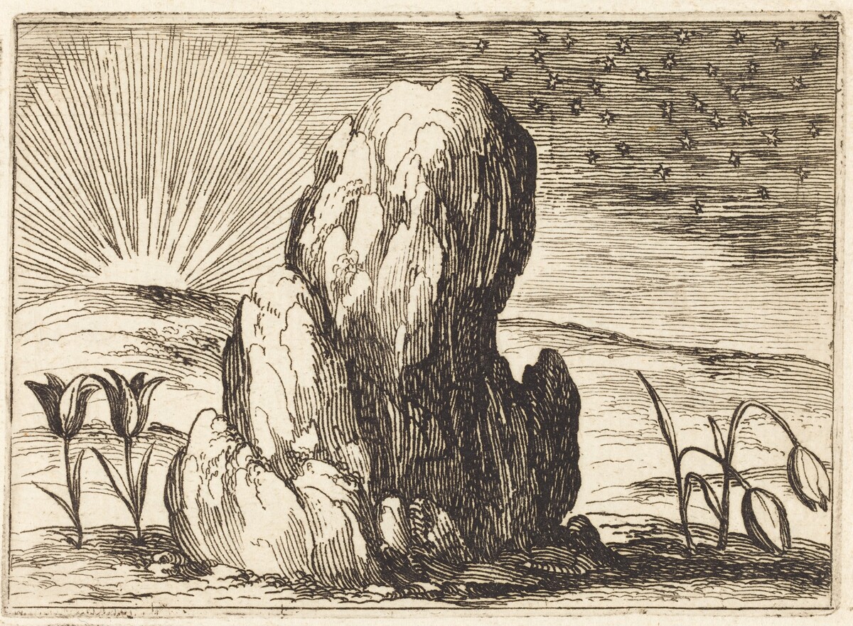 The Tulips and the Sun by Jacques Callot