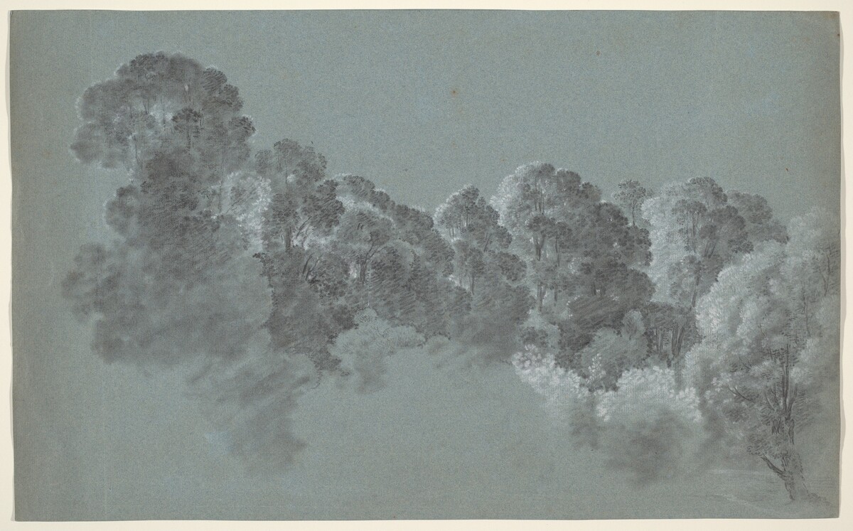 Forest Treetops Struck by Light by Heinrich Rieter