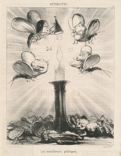 Les moucherons politiques