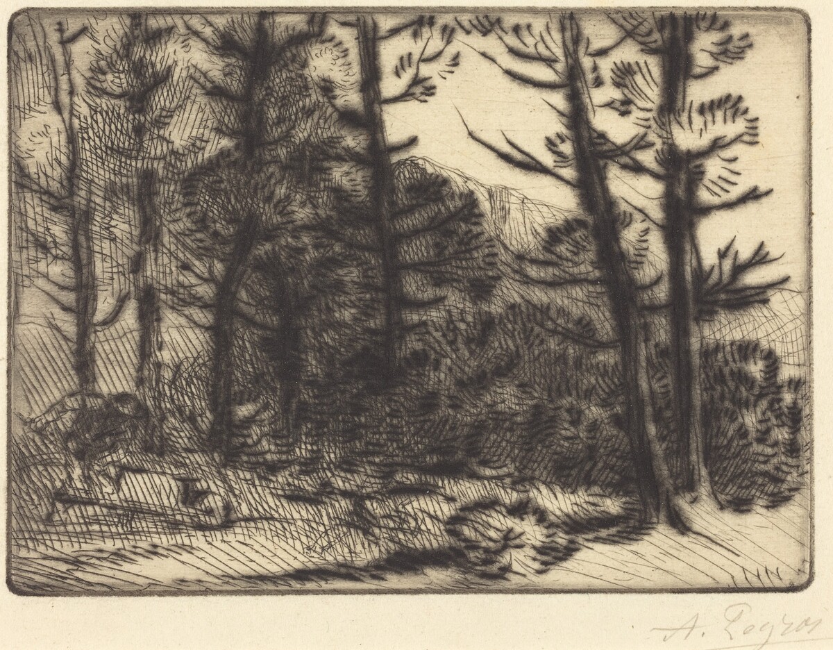 Woods in Winter Sun, 2nd plate (Soleil d'hiver dans les bois) by Alphonse Legros