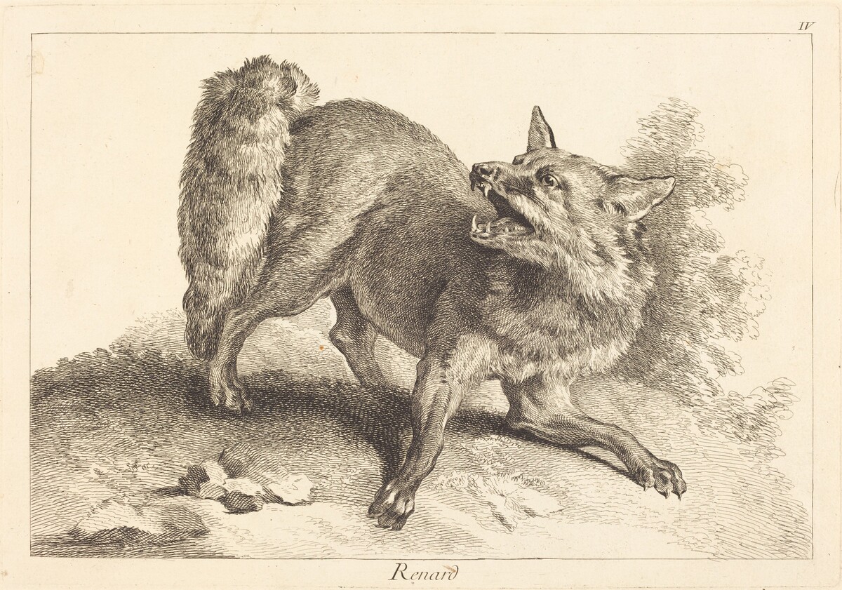 Renard (Fox) by Jacques-Philippe Le Bas and Jean Eric Rehn after Jean-Baptiste Oudry