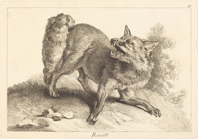 Renard (Fox)