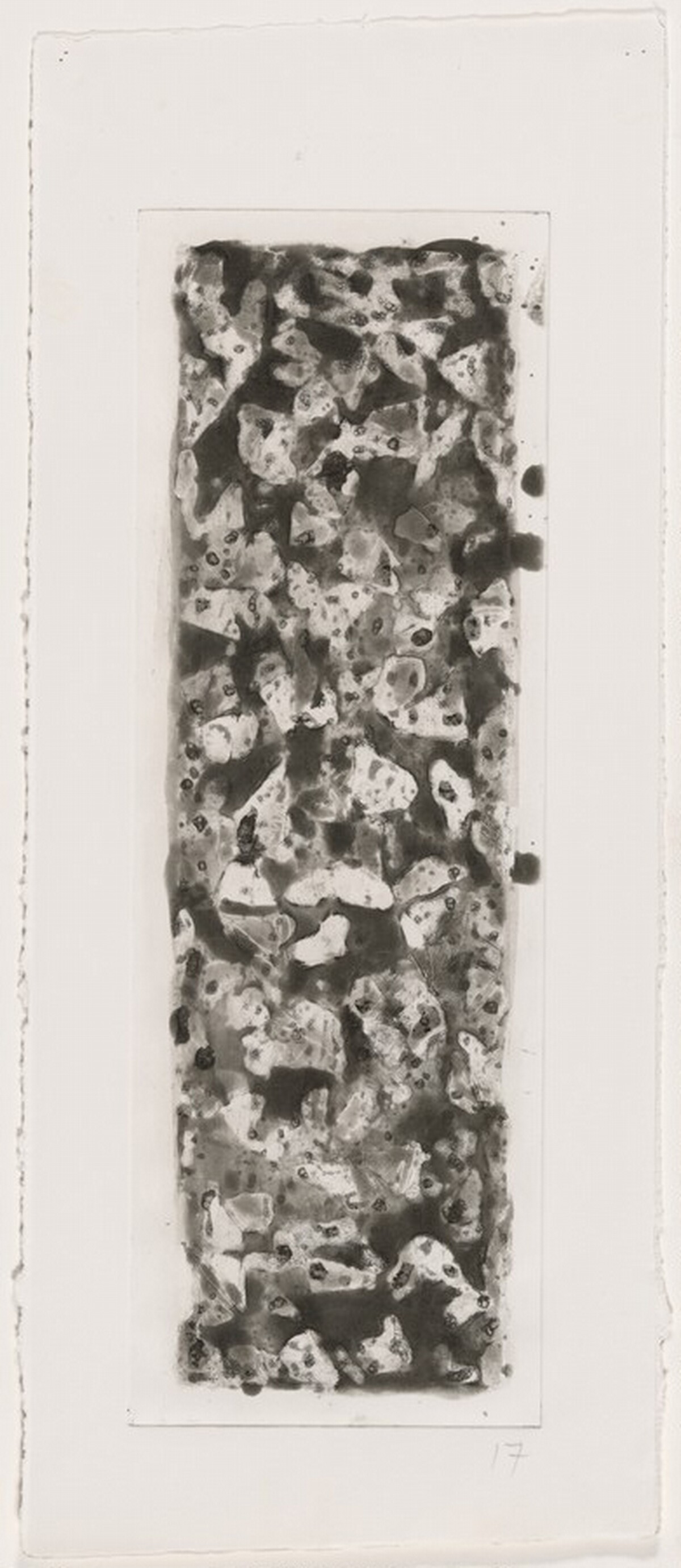 Color & Black, 30 x 17, No. 1 [working proof 8] by Sol LeWitt