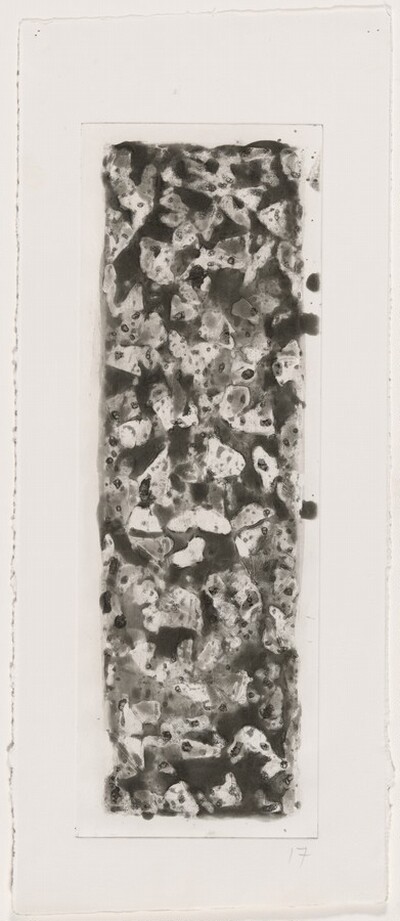 Color & Black, 30 x 17, No. 1 [working proof 8]