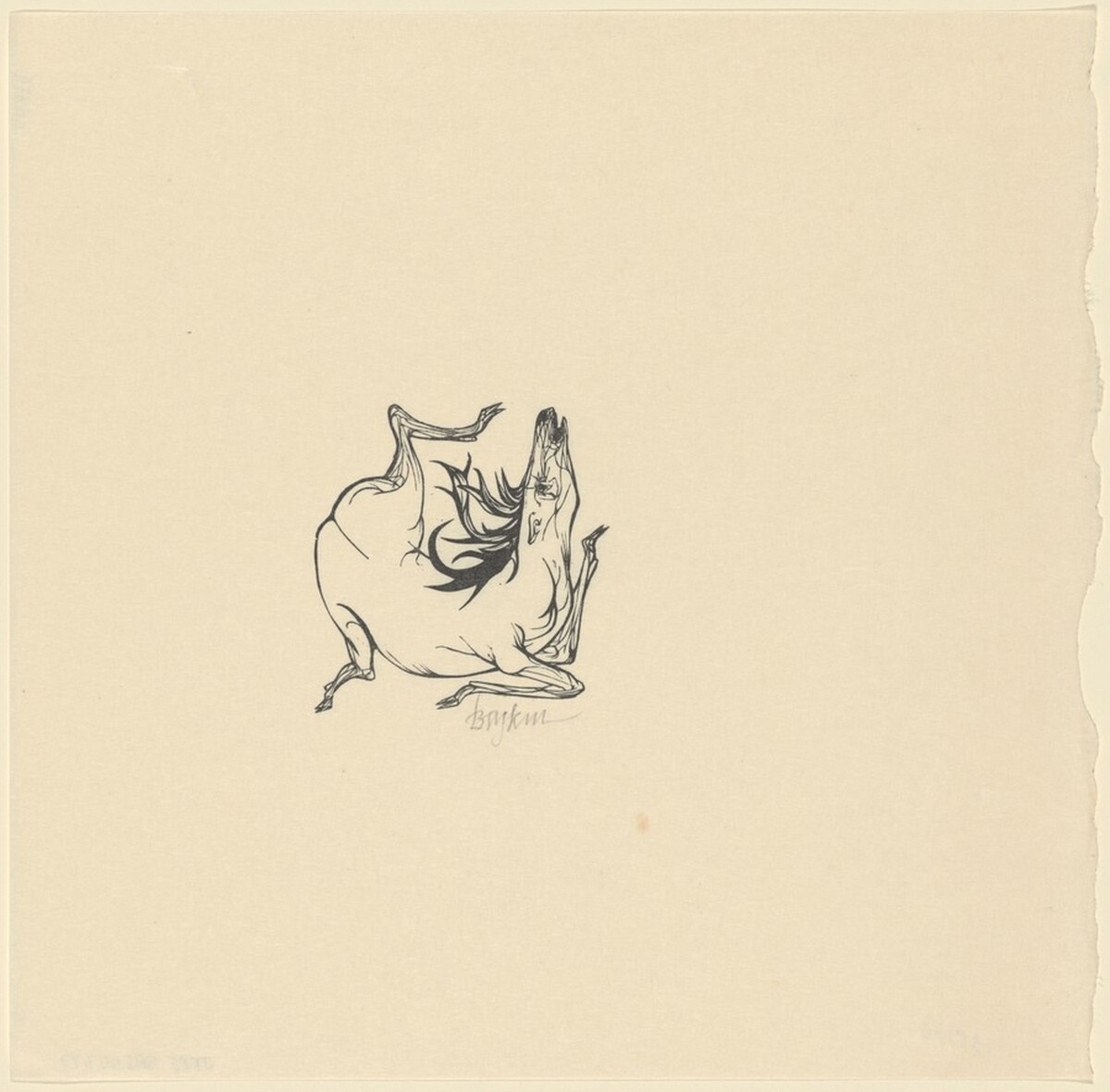 Stag, from Flaubert's "St. Julien the Hospitaller" by Leonard Baskin