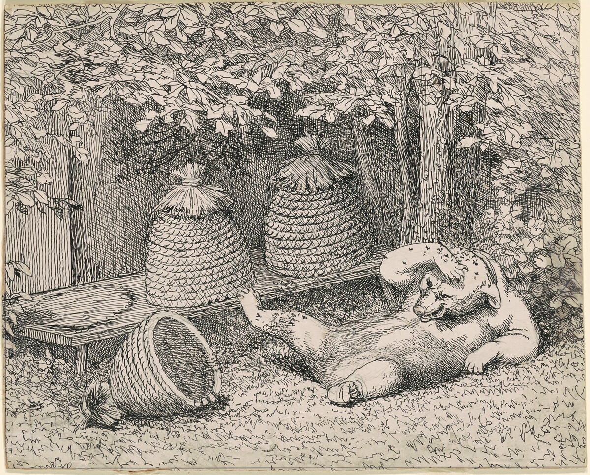 Bear Stung by Bees by William Holbrook Beard