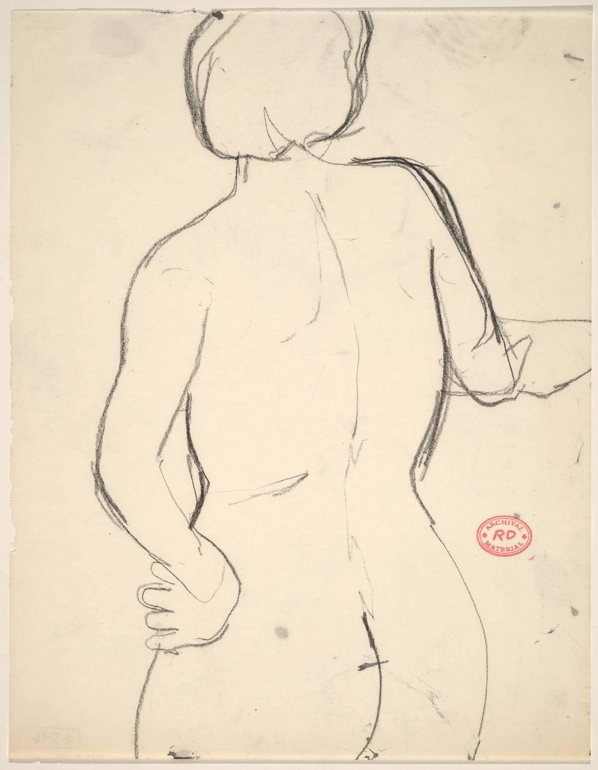 Untitled [back of female nude: head to buttocks] by Richard Diebenkorn