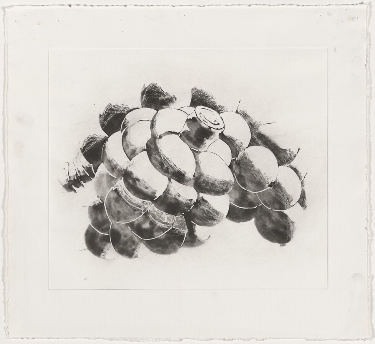 Costume F [preparatory drawing] by Richard Tuttle