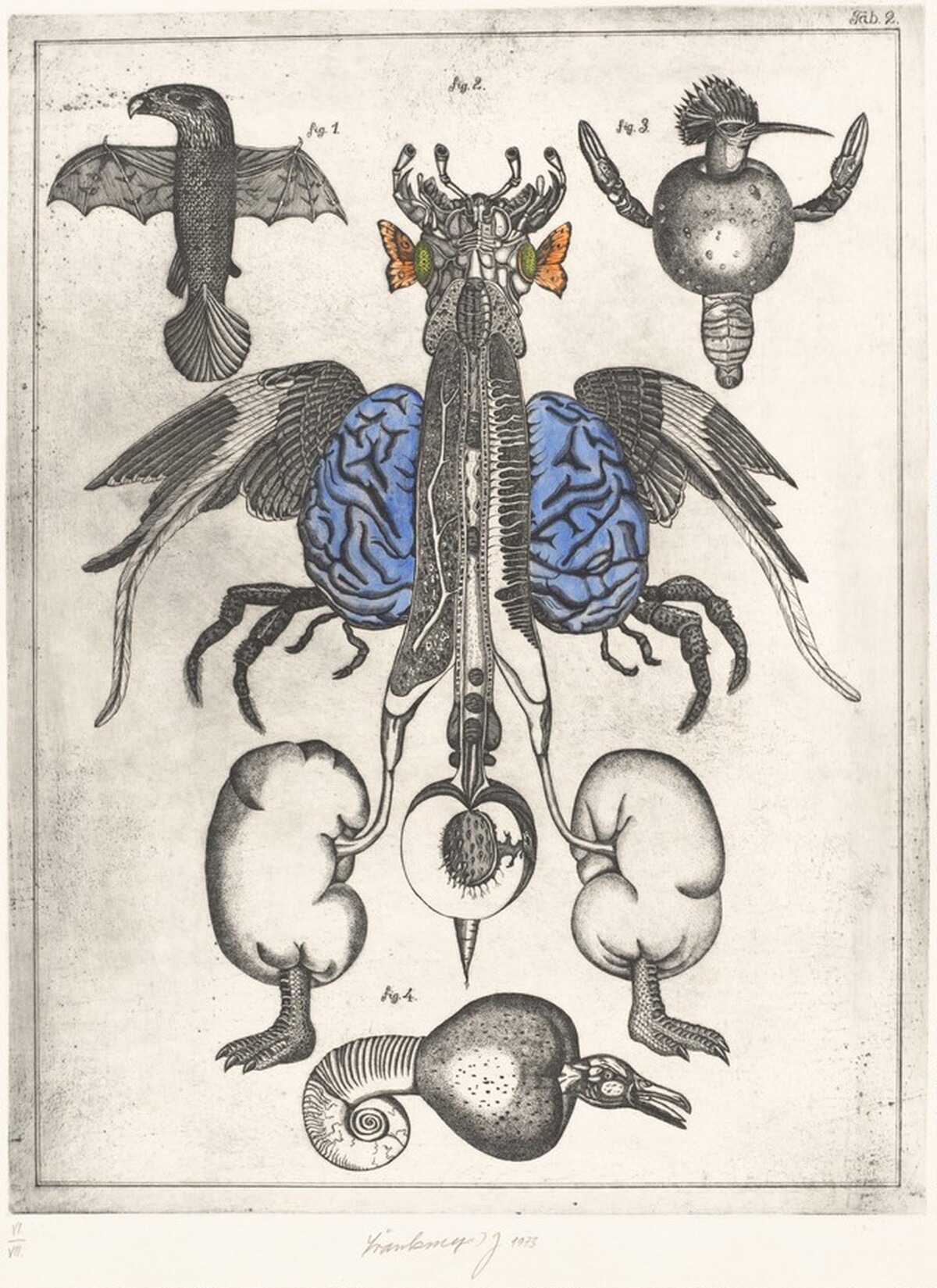 Prírodopis/Natural Science by Jan Svankmajer
