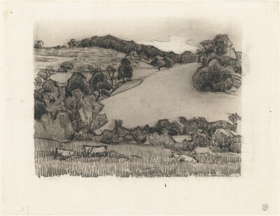 Across Bolham Water