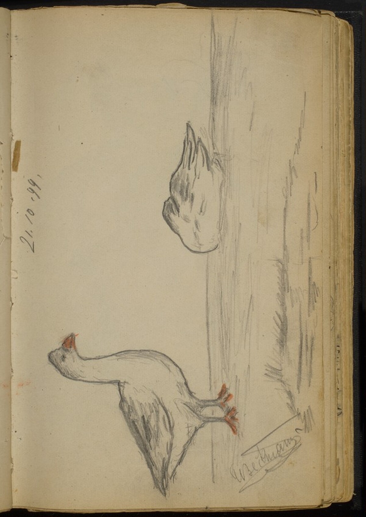Two Ducks by Max Beckmann