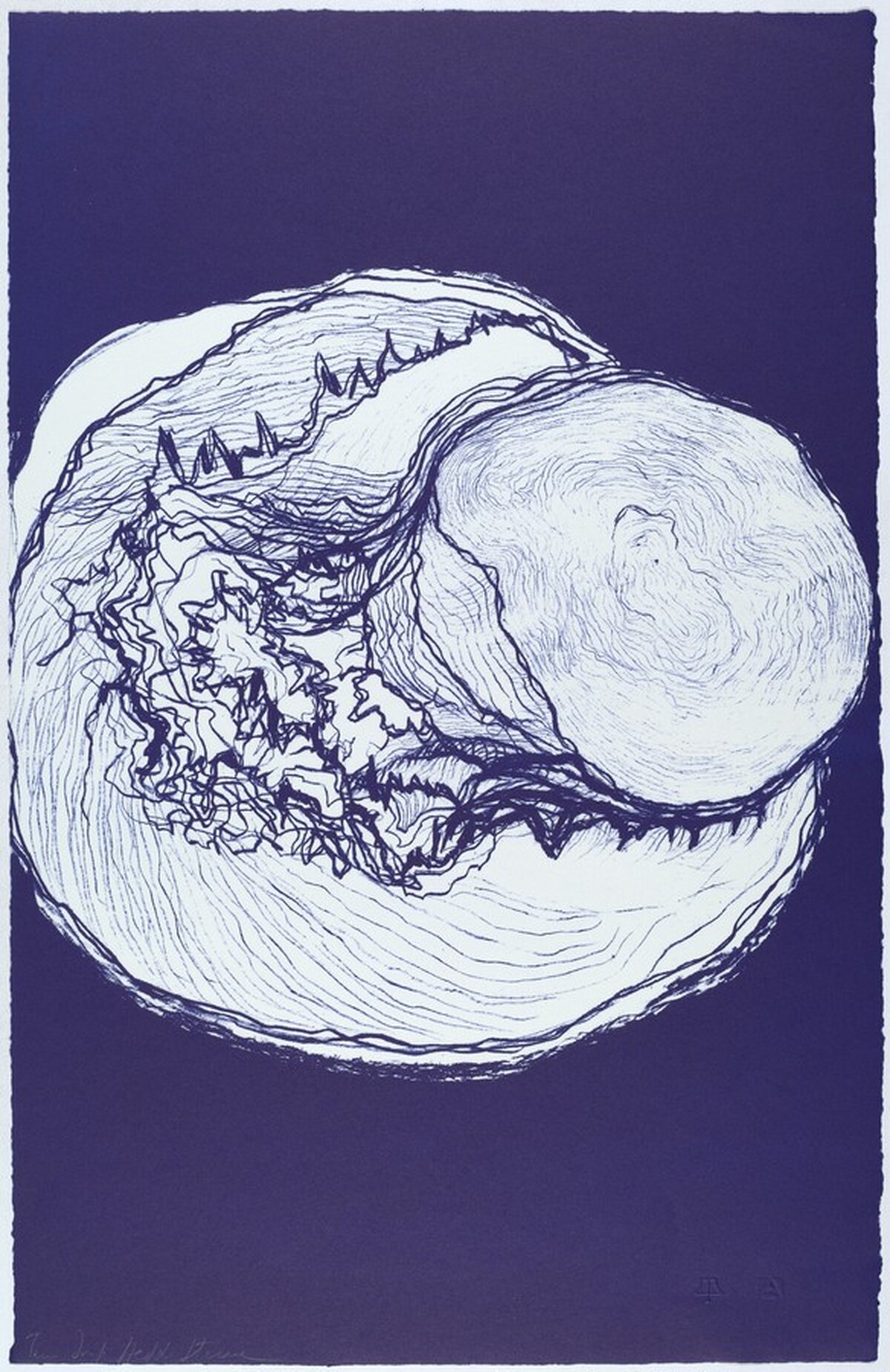 Untitled by Hedda Sterne