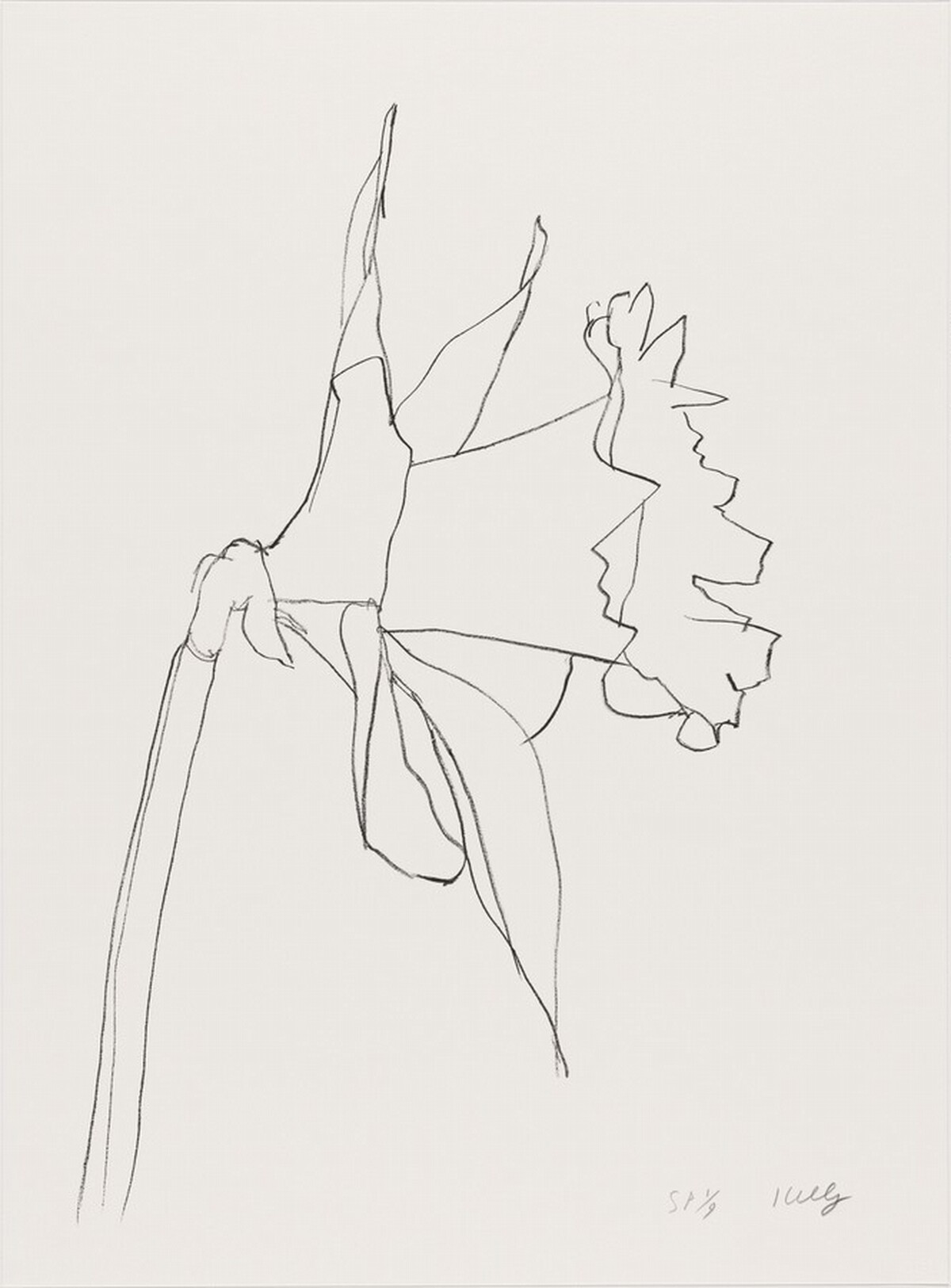 Daffodil by Ellsworth Kelly