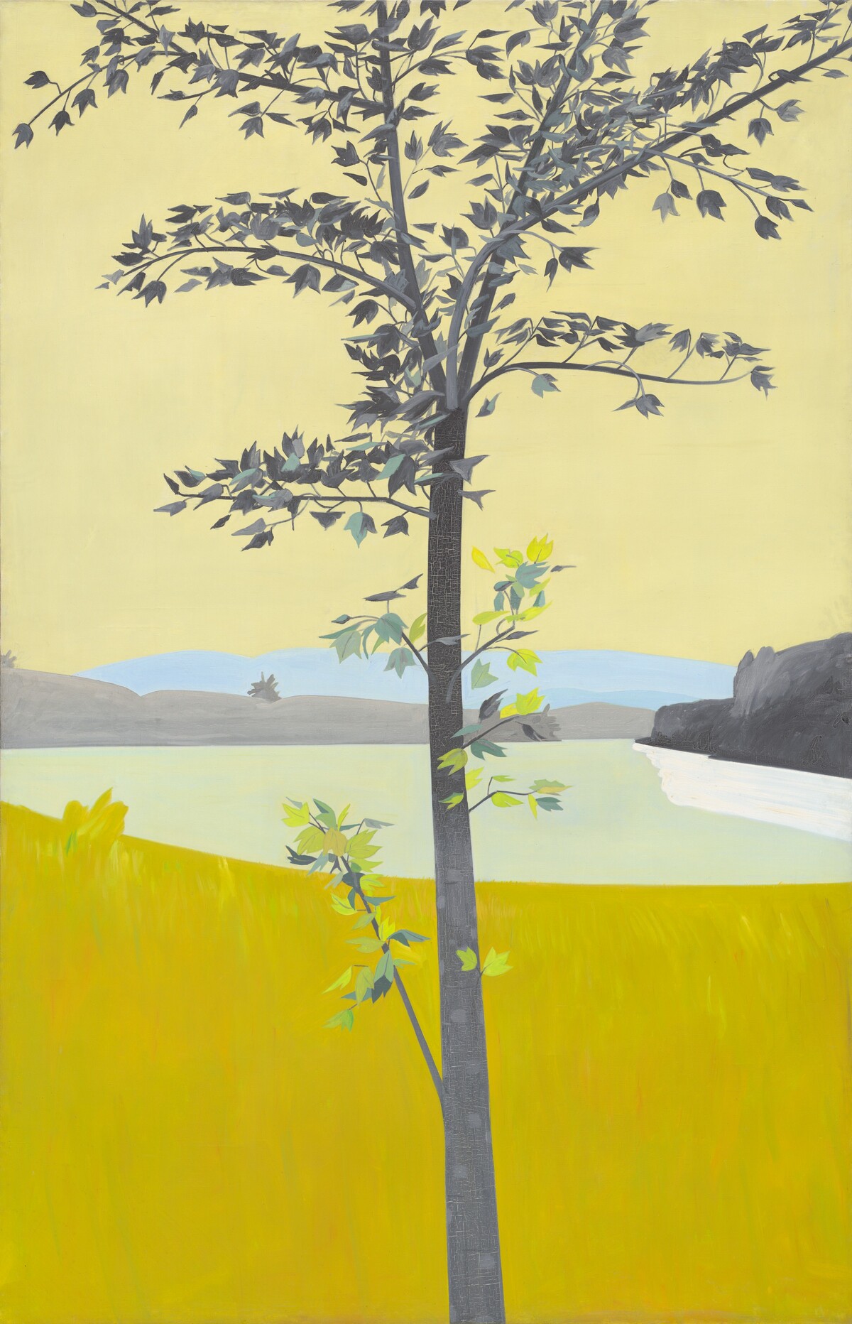 Swamp Maple (4:30) by Alex Katz