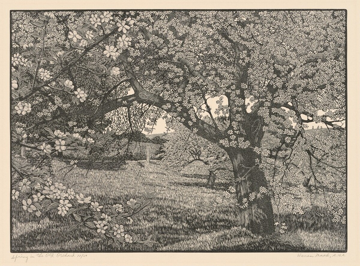 Spring in the Old Orchard by Warren Mack