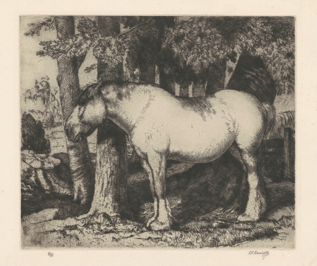 The White Horse by Charles Frederick Tunnicliffe