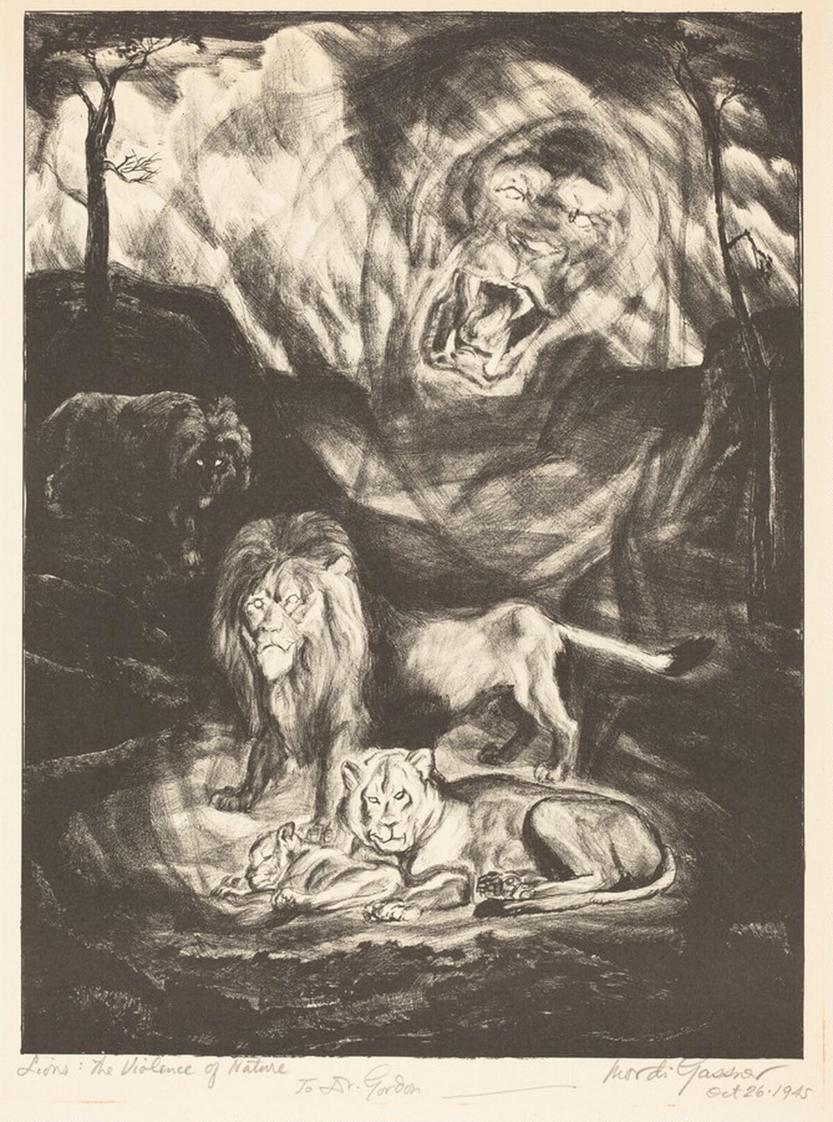 Lions: The Violence of Nature by Mordi Gassner