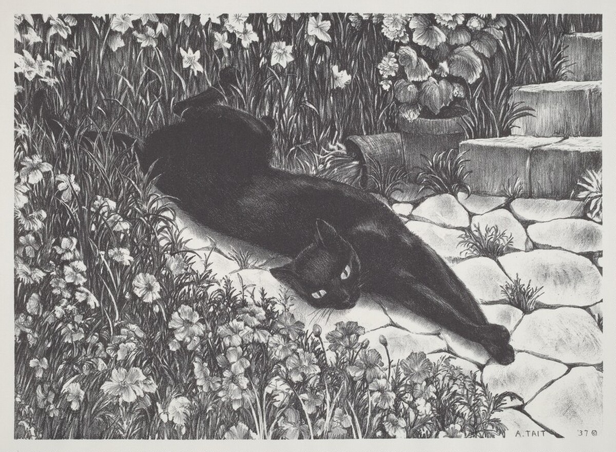 Felicity by Agnes Gabrielle Tait