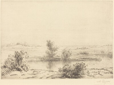 Marsh (Les marais)