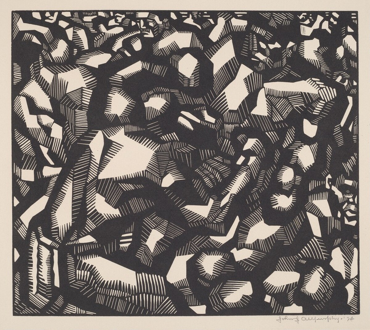 Boxers by John J.A. Murphy
