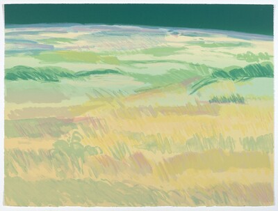 Field #1