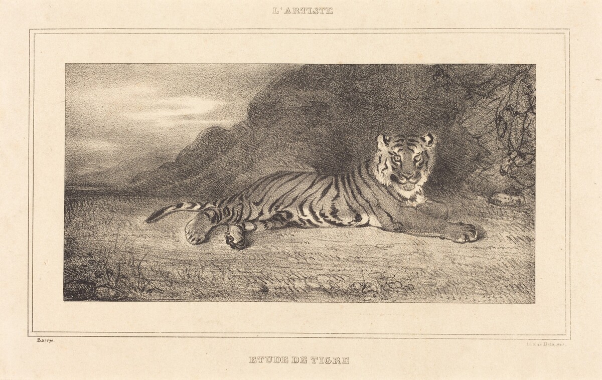 Study of a Tiger by Antoine-Louis Barye