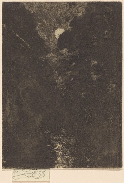 Trees in Moonlight