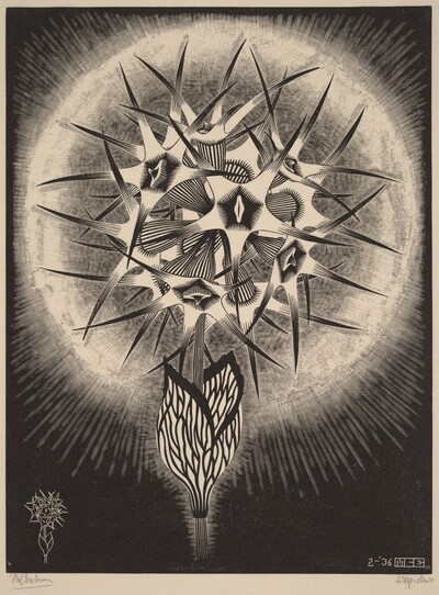 Prickly Flower