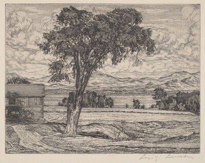 Lake Pastures