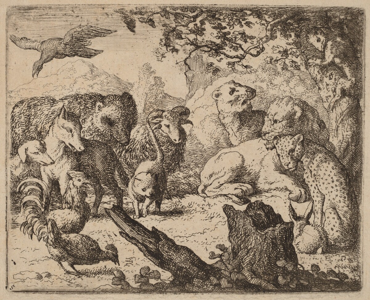 The Lion Announces a Peace by Allart van Everdingen