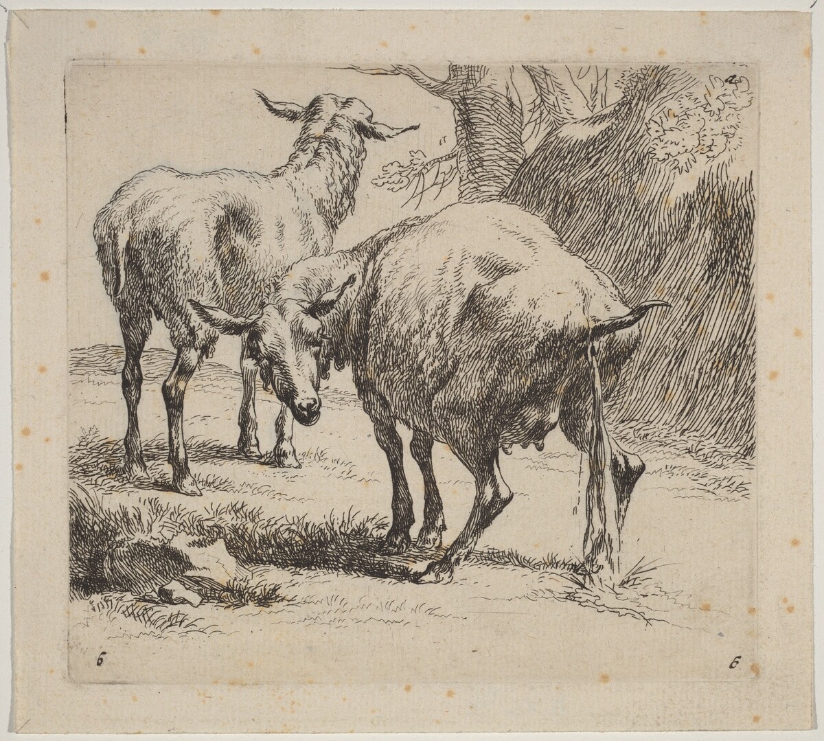 Two Sheep, One Pissing by Nicolaes Pietersz Berchem